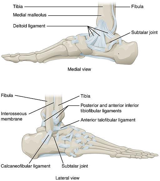 Ankle and feet joints