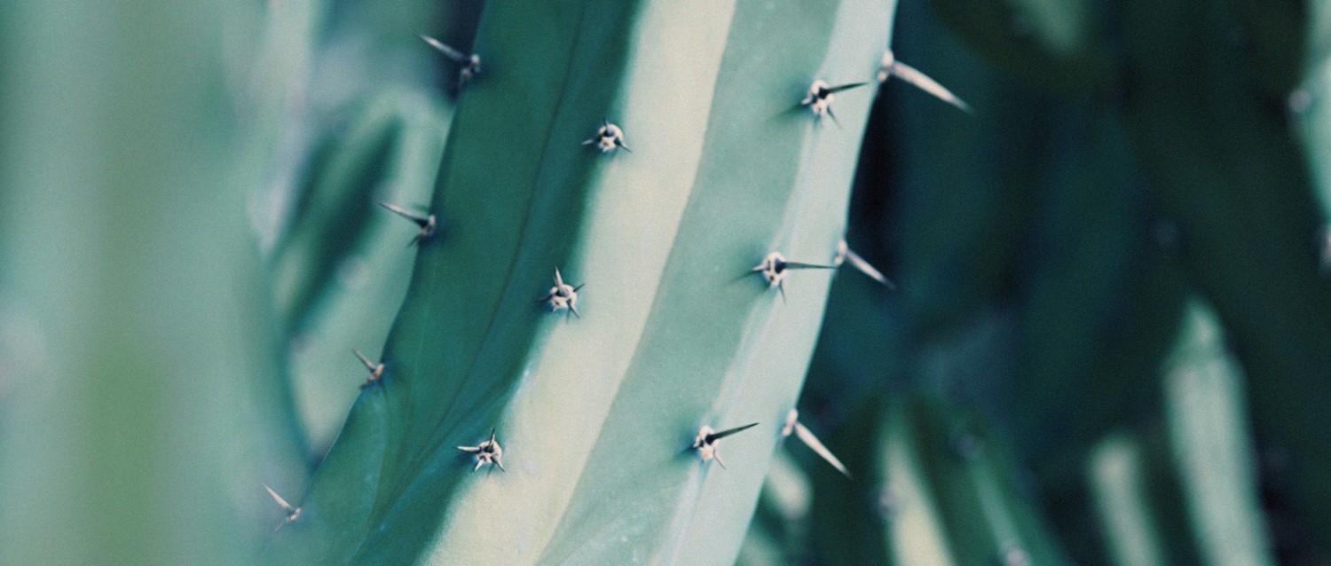 Overcoming your fear of needles