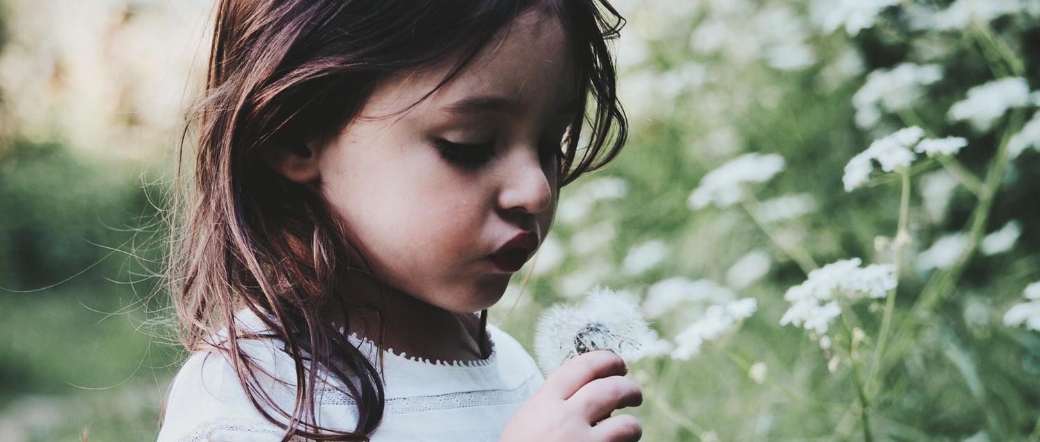 Young child with dark hair holding a dandelion seed head in a meadow with white wildflowers in the background.