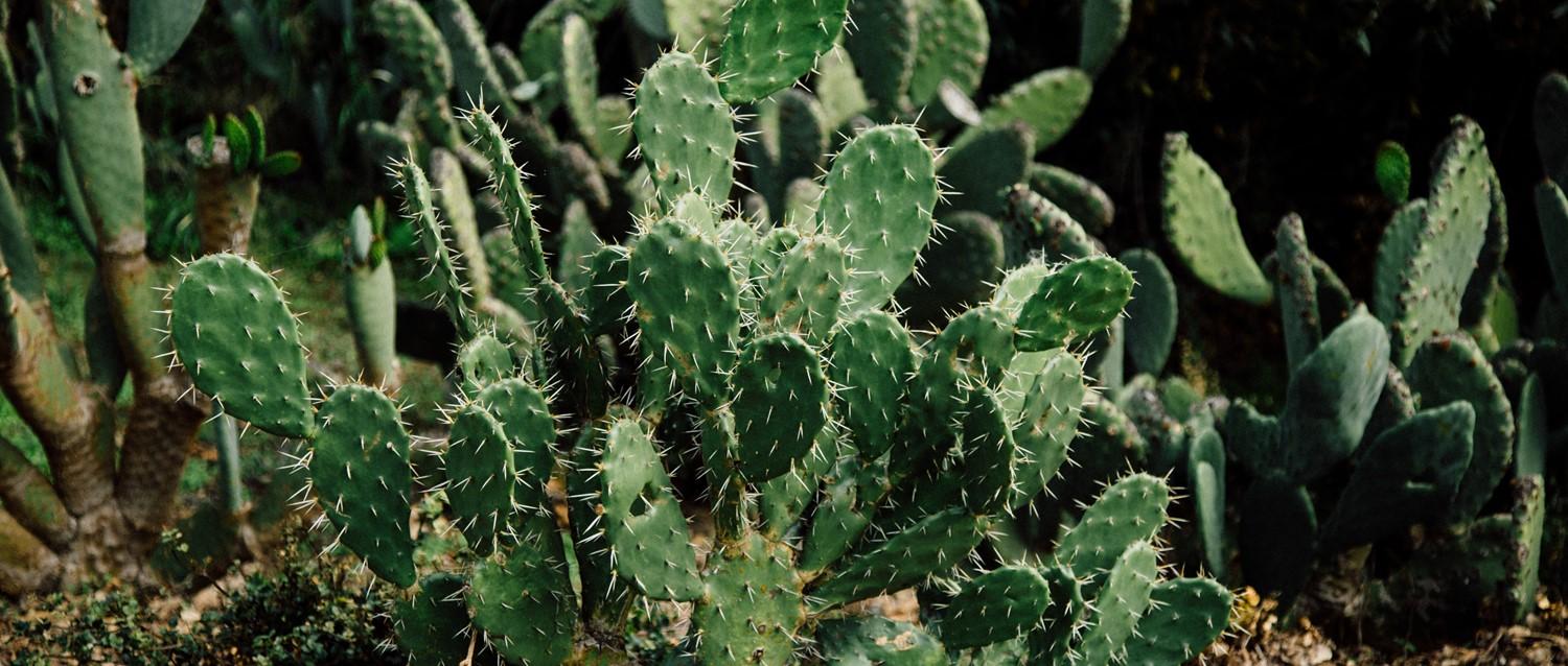 How to manage chronic pain