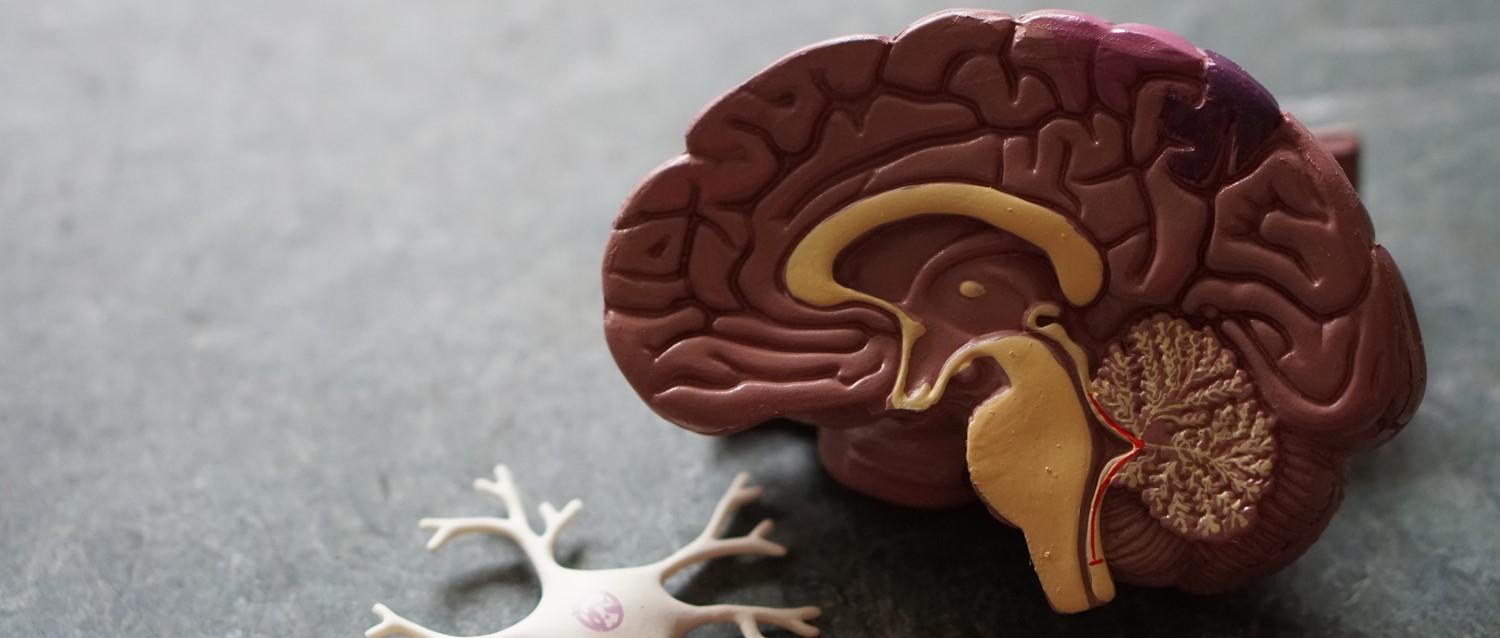 Are new treatments for MS on the horizon?