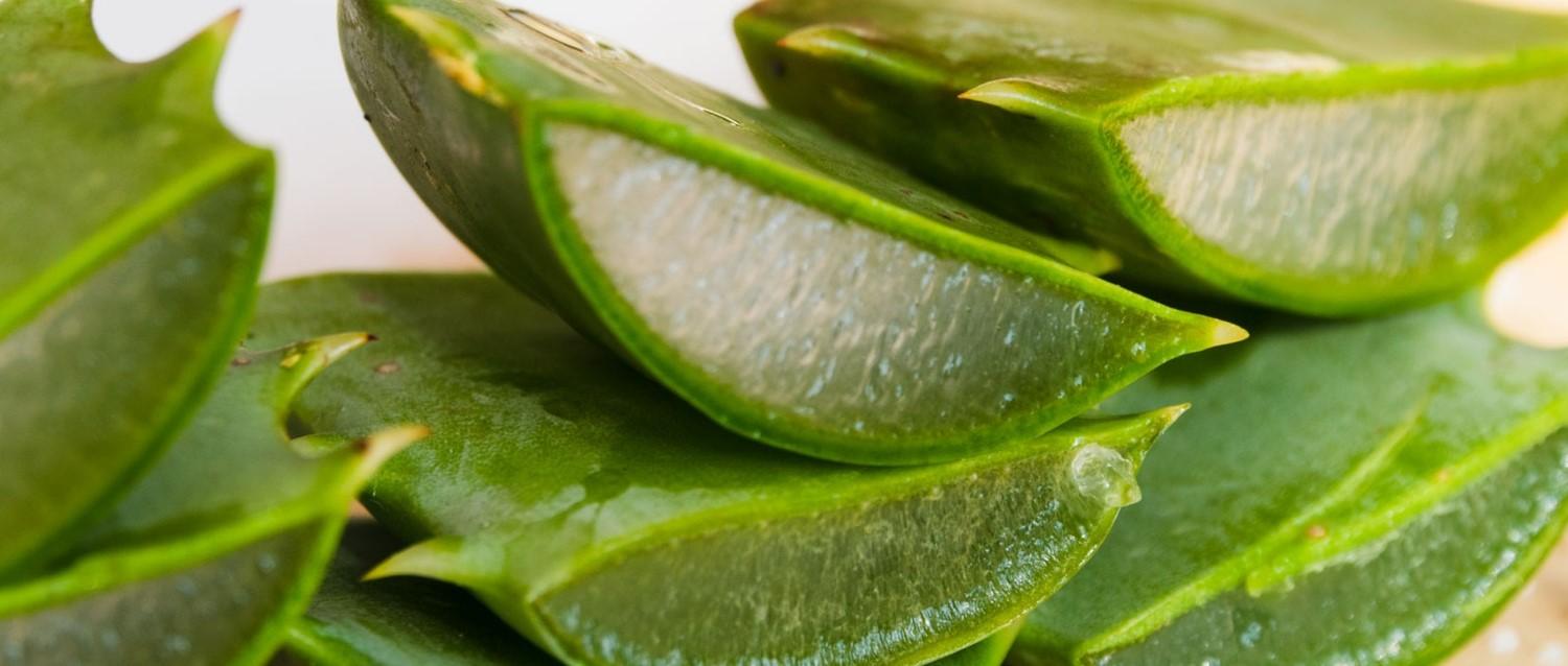 Does aloe vera juice really help with gut health?